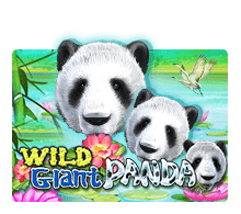 wildgiantpandagw